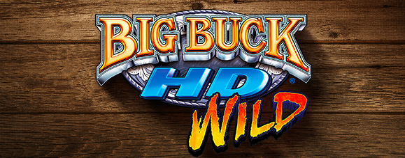 Big Buck Hunter 2014